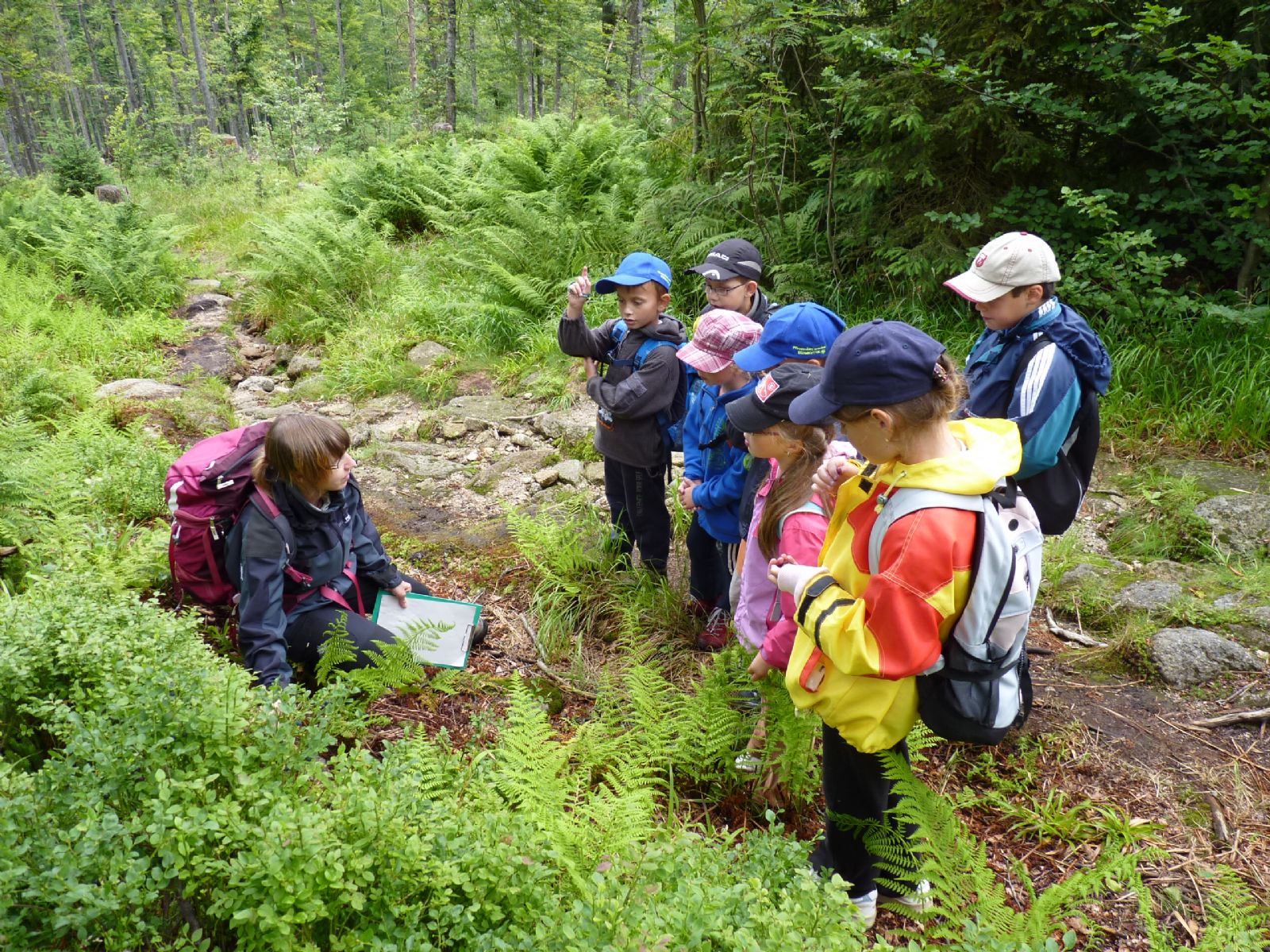 obrázek: Národní park Šumava míří do škol
