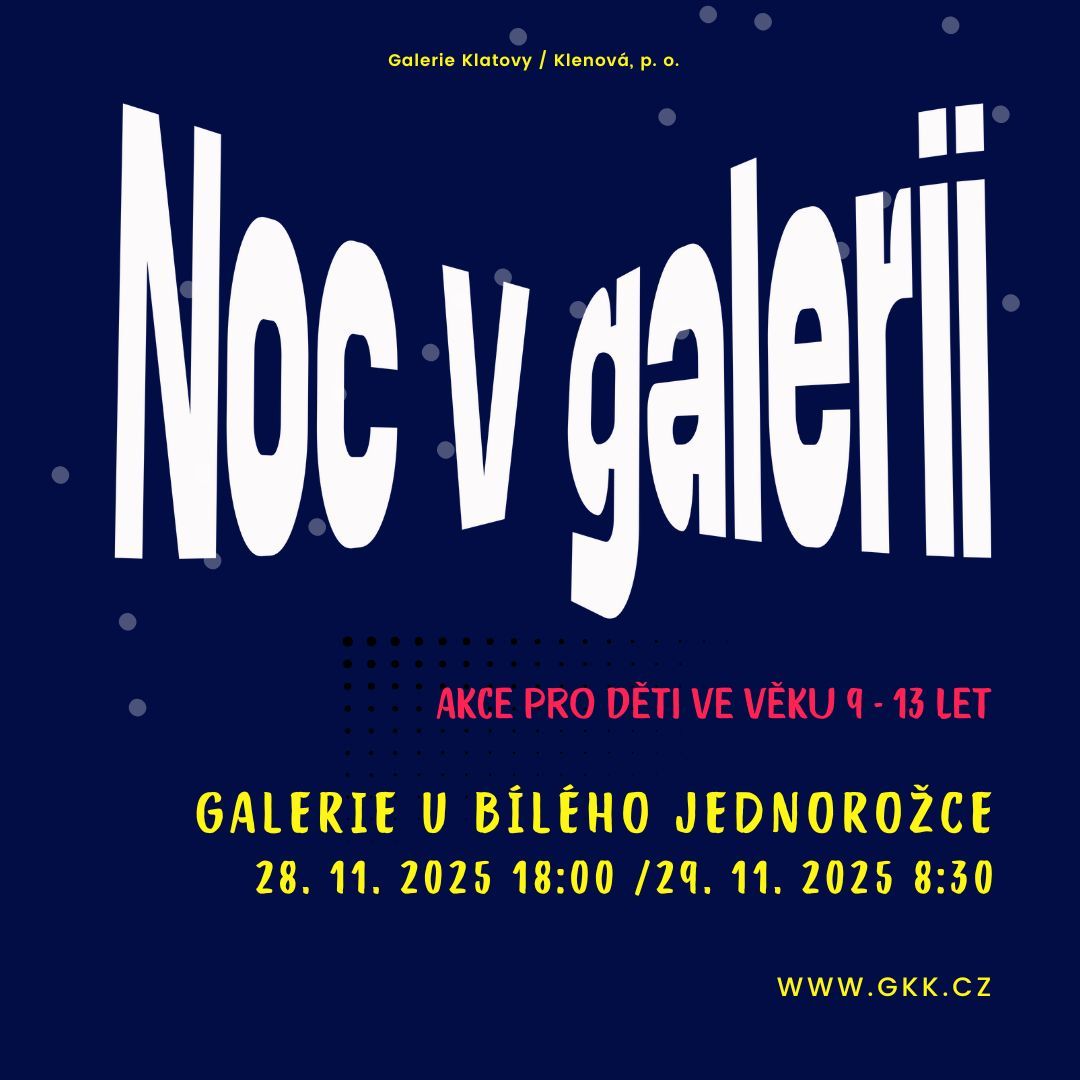 Noc v galerii V.