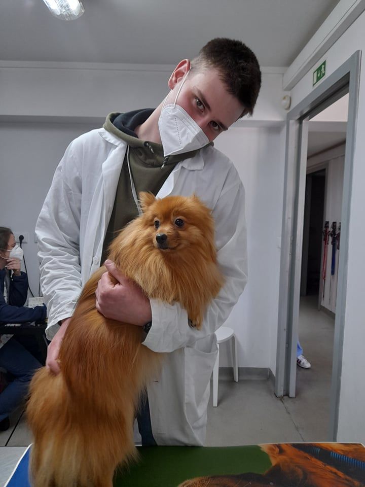 Péče o psího pacienta