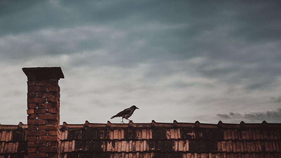 obrázek: Stále je šance získat v kraji kotlíkovou dotaci 