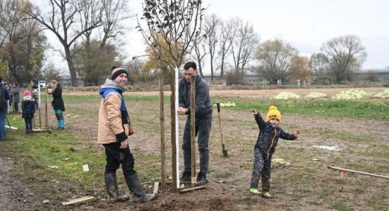 Herci z Divadla J. K. Tyla vysadili symbolickou alej na počest Pavla Švandy