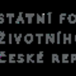Nákup prvních elektromobilů
