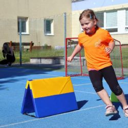 Sportovní hry mateřských škol 2025