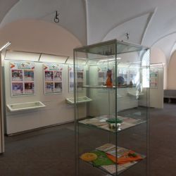 V mázhauzu radnice proběhne výstava Sportovec Plzně 2023
