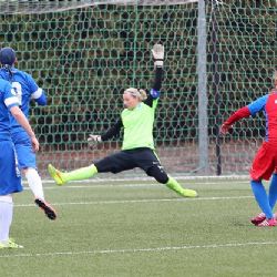 Viktoriánky nestačily doma na Liberec a prohrály 2:3