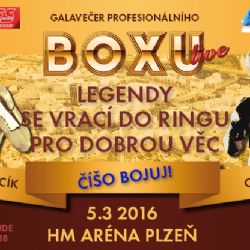 Získejte lístky na Galavečer profesionálního boxu, který pomůže Mariánovi Čišovskému