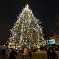 Advent na Jedničce: slavnostní rozsvícení stromů i koncert v kostele