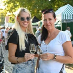 Bolevecké vinobraní podeváté