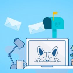 Poplatek ze psů? Místo složenky e-mail
