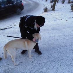 Strážníci městské policie na Lochotíně chystají intenzivnější kontroly