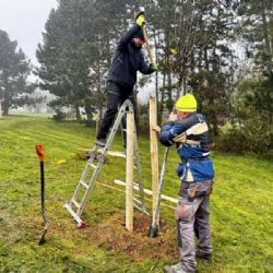 U parků Zemník a Podzemník přibyly ovocné stromy. Na přání lidí