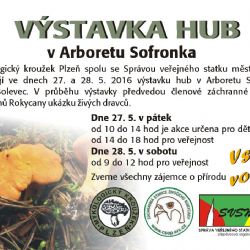 Výstava hub v Arboretu Sofronka