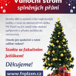 Dětské pacienty z FN Plzeň můžete potěšit drobným dárkem