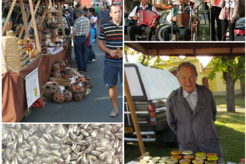 Foto: Hledáme prodejce na akci Medový jarmark