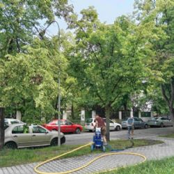 Lípy na Slovanech dostaly pořádnou dávku živin