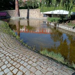 Ve Chvojkových lomech není v současné době čištěno jezírko z důvodu výskytu pulců žab