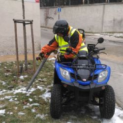 Centrální obvod se zaměří na úklid po pejscích