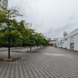 Dlažbu nahradí zeleň, vedení centrálního obvodu už zadalo projekt