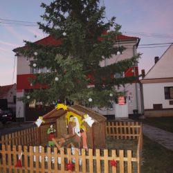 Obyvatelé Radobyčic v neděli rozsvítili svůj vánoční strom
