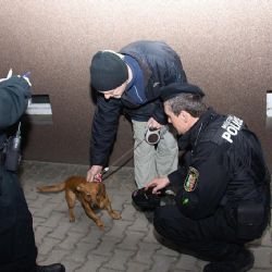 Plzeňský centrální obvod kontroluje majitele psů