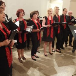 Pozvánky na akce v Totemu