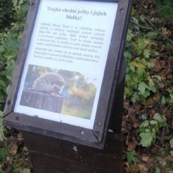 Trojka chrání ježky i jejich blešky. Už potřetí!