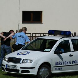 Strážníci zadrželi muže podezřelého z vloupání