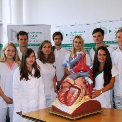 Od pondělí funguje Centrum zdraví v Plzni