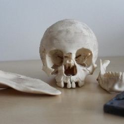 Repliky ostatků Jana Nepomuckého vznikly díky spolupráci doktorandů ZČU