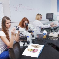 Západočeská univerzita bude vzdělávat sestry v Karlovarském kraji