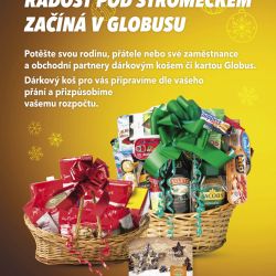 Dárky pro Vaše zaměstnance vyřídíte snadno a rychle s Globus Dárkovou kartou. 