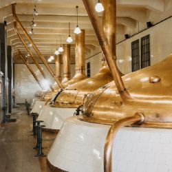 Adventní tip z Prazdroje: speciální prohlídky s pivovarským kvízem a degustací 