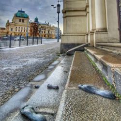 Aplikace přiblíží obyvatelům a návštěvníkům Plzně osudy Židů za holocaustu