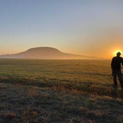 Archeologové z Plzně odkryli pod Řípem další mohylu