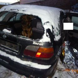 Bezdomovec visel za kalhoty z vraku auta, málem umrzl