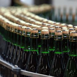 Bohemia Sekt slaví 50 let