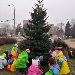 Bory a Skvrňany dostaly živé vánoční stromy