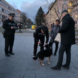 Centrální obvod daroval strážníkům nové čtečky psích mikročipů
