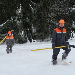 ČEZ Distribuce přijala opatření pro klidný průběh prezidentských voleb