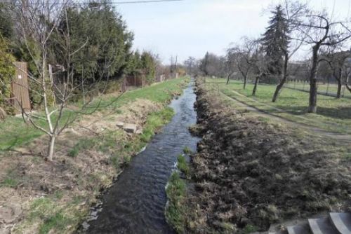 Foto: Chystá se úprava údolí Vejprnického potoka, město chce podněty 