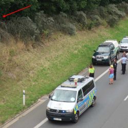 Dálniční přivaděč v Plzni blokovala kráva, musel ji uspat veterinář