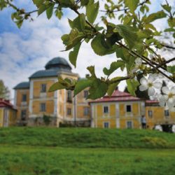 Den Českého lesa na Dianě bude oslavou starých stromů