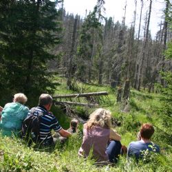 Divoká příroda NP Šumava láká. Loňská návštěvnost byla vyšší než před covidem