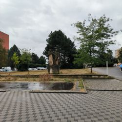 Dlažbu na Skvrňanech nahradí zeleň