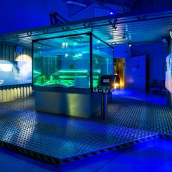Do Techmanie se od pondělka vrací expozice Pod hladinou