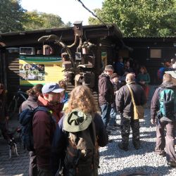 Do záchranné stanice zvířat v Plzni zavítalo 150 lidí
