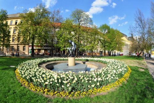 Foto: Údržba zeleně v Plzni stojí miliony, lidé ale kytky ze záhonů kradou 
