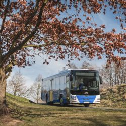 Domažlice a Plzeň spojí od neděle nová autobusová linka 