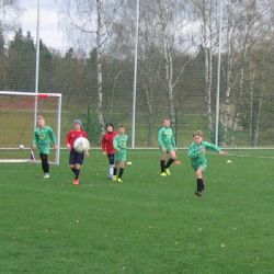 Dotace pomohou opravám sportovišť i pořádání akcí v Plzni