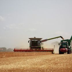 Farmáři z kraje se těší na slušnou sklizeň